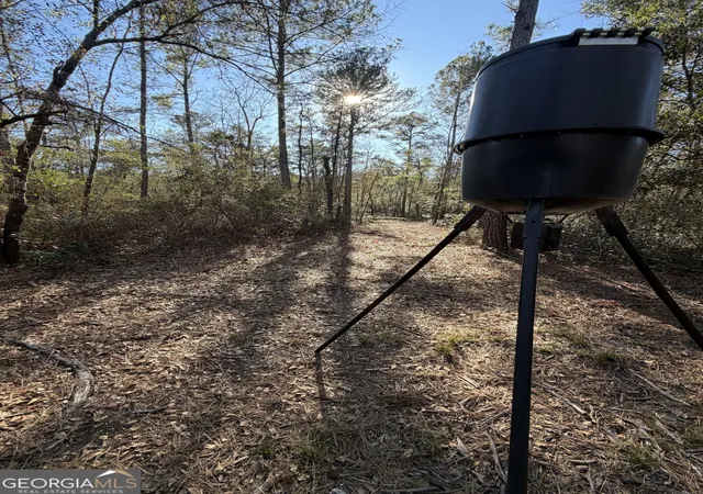 Photo 3 of Land for sale at 3833 Old Louisville Rd, Guyton, GA 31312 | MLS# 10665869 | Listing updated on 2026-08-31
