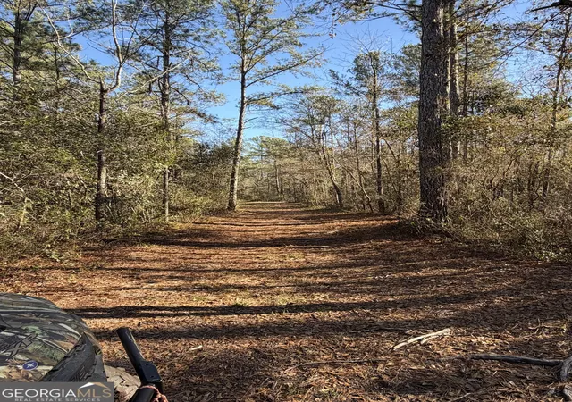 Photo 4 of Land for sale at 3833 Old Louisville Rd, Guyton, GA 31312 | MLS# 10665869 | Listing updated on 2026-08-31