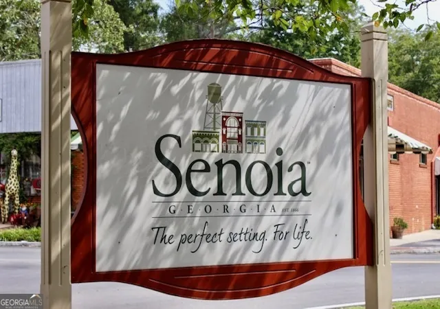 60th image of 126 Drayton Farm Dr, Senoia, GA 30276 | MLS# 10810387