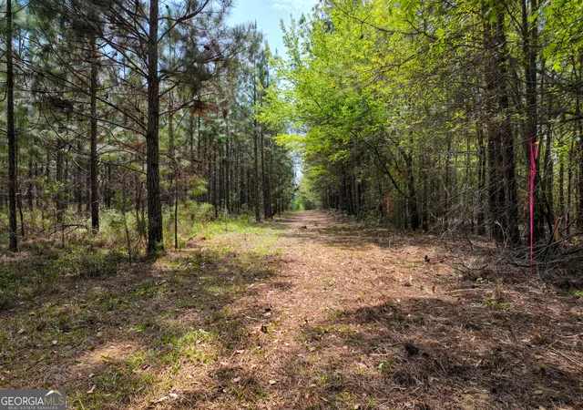 Homes for sale in Hawkinsville, GA | 0 Hwy 26, Hawkinsville, GA 31036 | MLS# 10724959