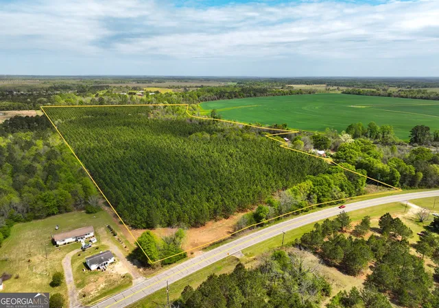 Homes for sale in Hawkinsville, GA | 0 Hwy 26, Hawkinsville, GA 31036 | MLS# 10724959