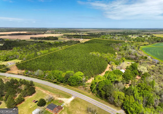 Homes for sale in Hawkinsville, GA | 0 Hwy 26, Hawkinsville, GA 31036 | MLS# 10724959