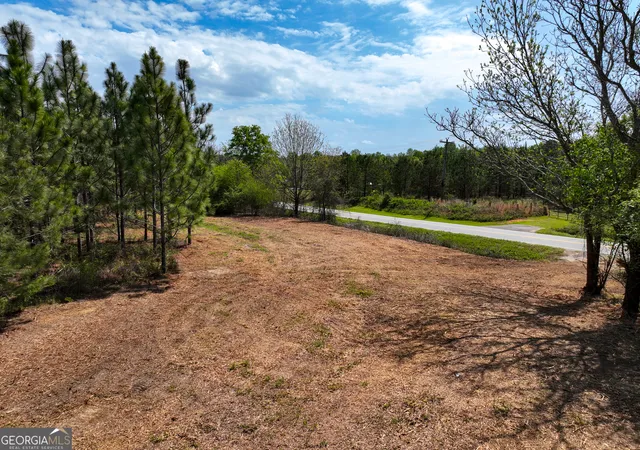 Homes for sale in Hawkinsville, GA | 0 Hwy 26, Hawkinsville, GA 31036 | MLS# 10724959