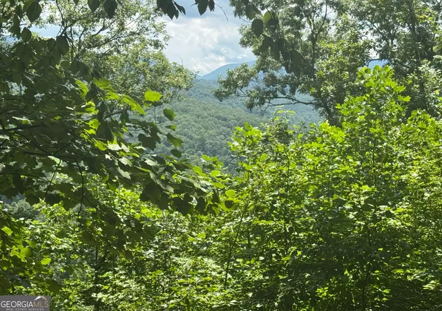 Photo 1 of Land for sale at #2 & #7 Ivy Lane, Hiawassee, GA 30546 | MLS# 10822522 | Listing updated on 2026-08-24