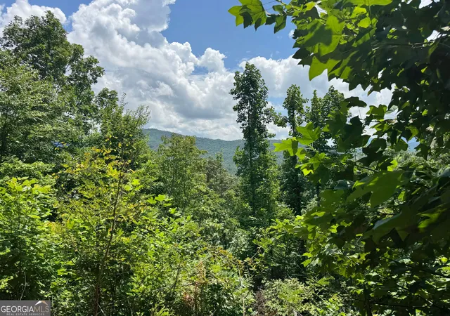 Photo 2 of Land for sale at #2 & #7 Ivy Lane, Hiawassee, GA 30546 | MLS# 10822522 | Listing updated on 2026-08-24