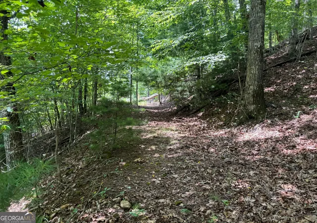 Photo 3 of Land for sale at #2 & #7 Ivy Lane, Hiawassee, GA 30546 | MLS# 10822522 | Listing updated on 2026-09-18