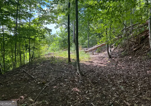 Photo 3 of Land for sale at #2 & #7 Ivy Lane, Hiawassee, GA 30546 | MLS# 10822522 | Listing updated on 2026-09-18