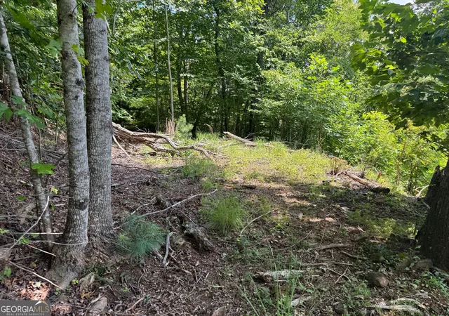 Photo 4 of Land for sale at #2 & #7 Ivy Lane, Hiawassee, GA 30546 | MLS# 10822522 | Listing updated on 2026-09-18