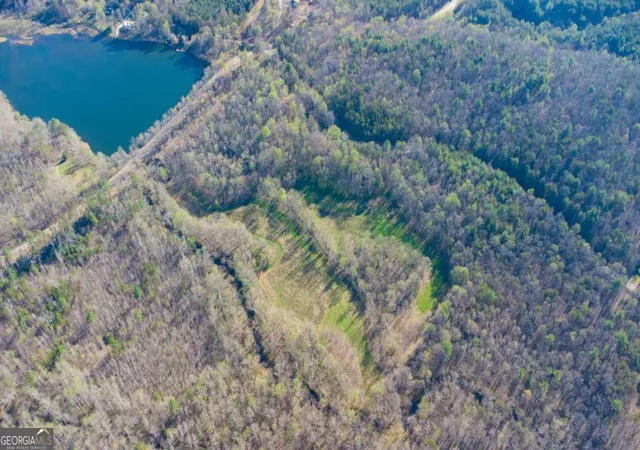 Photo 3 of Land for sale at 9031 Steve Tate Hwy, Dawsonville, GA 30534 | MLS# 10721284 | Listing updated on 2026-07-13