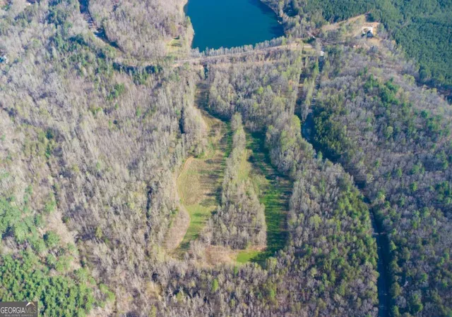Photo 3 of Land for sale at 9031 Steve Tate Hwy, Dawsonville, GA 30534 | MLS# 10721284 | Listing updated on 2026-07-13