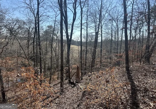 Photo 72 of Land for sale at 237 Riversong (tract 10) #(TRACT 10), Carrollton, GA 30117 | MLS# 10702709 | Listing updated on 2026-09-02
