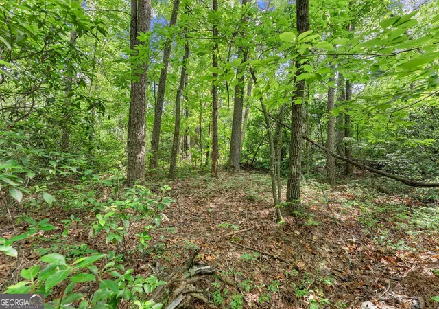 3rd image of 0 Sweetheart Lane, Sautee Nacoochee, GA 30571 | MLS# 10790155