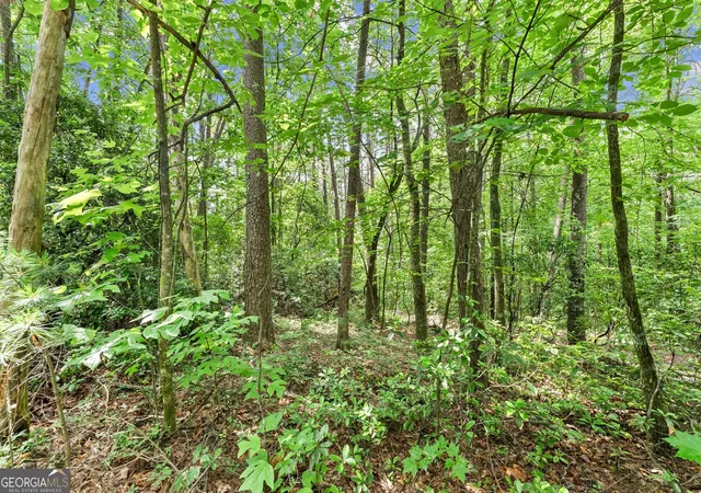 4th image of 0 Sweetheart Lane, Sautee Nacoochee, GA 30571 | MLS# 10790155