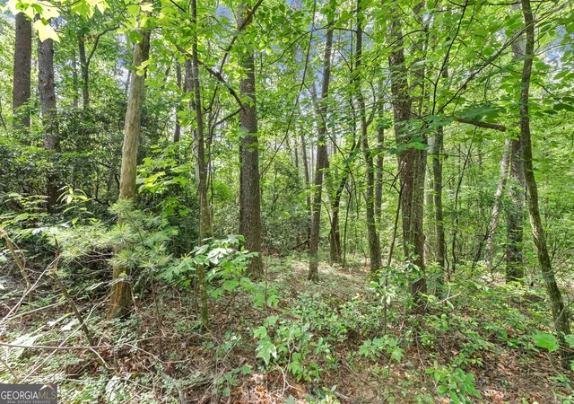 5th image of 0 Sweetheart Lane, Sautee Nacoochee, GA 30571 | MLS# 10790155