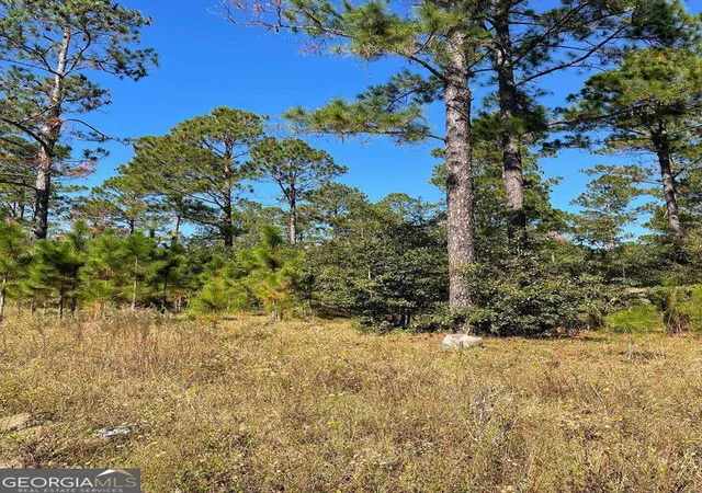 2nd image of 0 Hwy 292, Vidalia, GA 30474 | MLS# 10729689