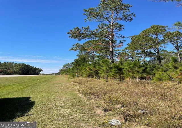 3rd image of 0 Hwy 292, Vidalia, GA 30474 | MLS# 10729689