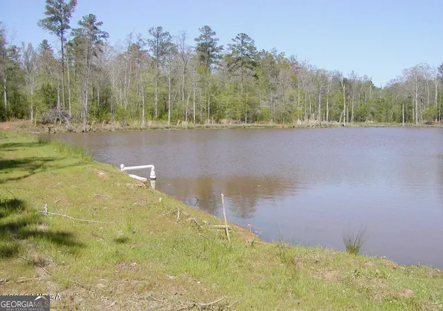4th image of 852 Union Hill Church Rd, Hillsboro, GA 31038 | MLS# 10785898