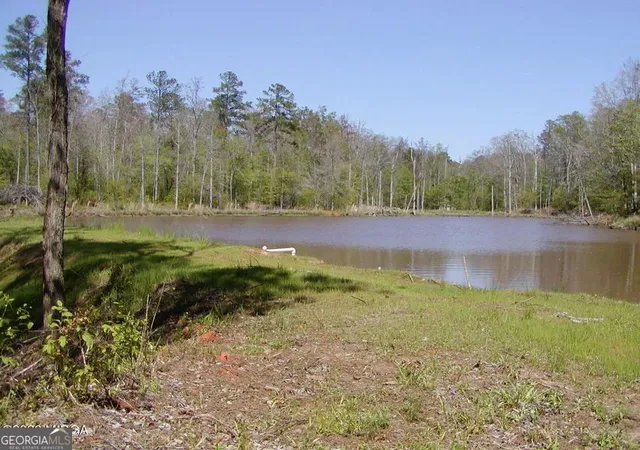 5th image of 852 Union Hill Church Rd, Hillsboro, GA 31038 | MLS# 10785898