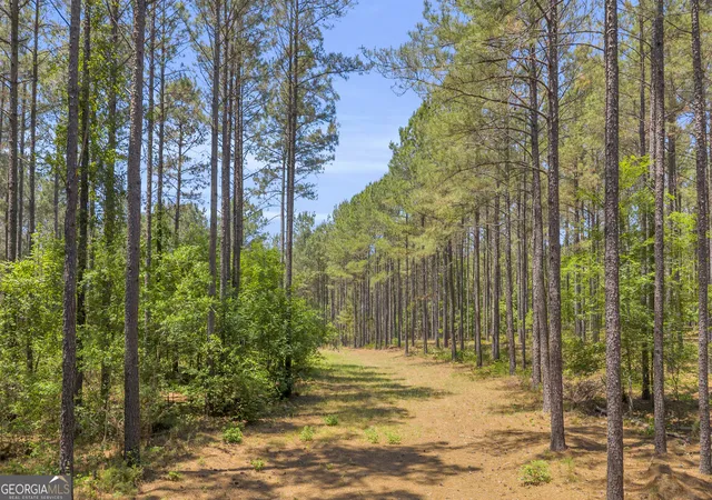 3rd image of 0 Hidden Harbor Rd, Lincolnton, GA 30817 | MLS# 10768950