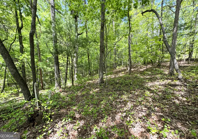 13th image of 0 Lawrence Rd, Dawsonville, GA 30534 | MLS# 10626825