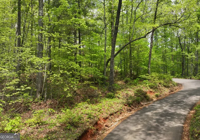 2nd image of 0 Lawrence Rd, Dawsonville, GA 30534 | MLS# 10626825