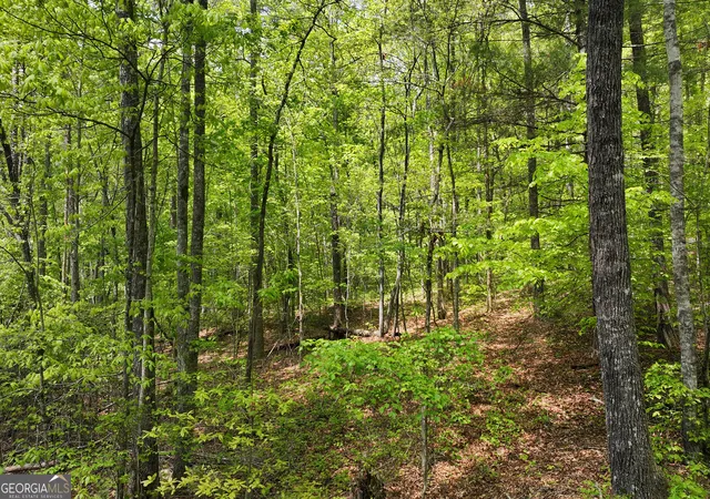3rd image of 0 Lawrence Rd, Dawsonville, GA 30534 | MLS# 10626825