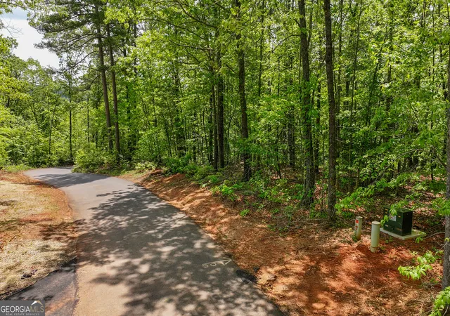 4th image of 0 Lawrence Rd, Dawsonville, GA 30534 | MLS# 10626825