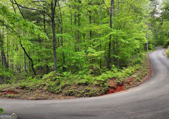 5th image of 0 Lawrence Rd, Dawsonville, GA 30534 | MLS# 10626825