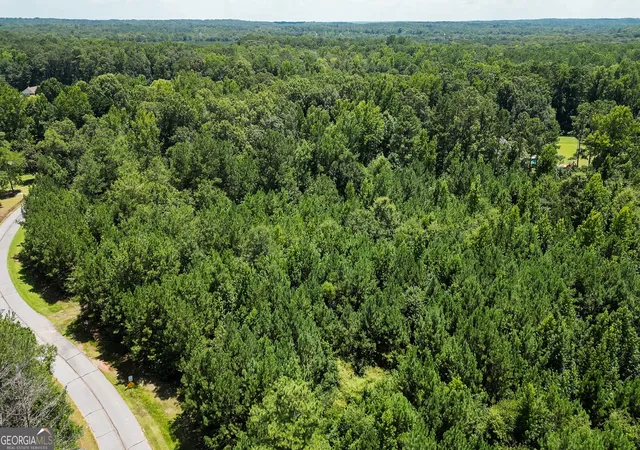 Photo 3 of Land for sale at 0 Overland Trl, Sharpsburg, GA 30277 | MLS# 10810535 | Listing updated on 2026-08-05
