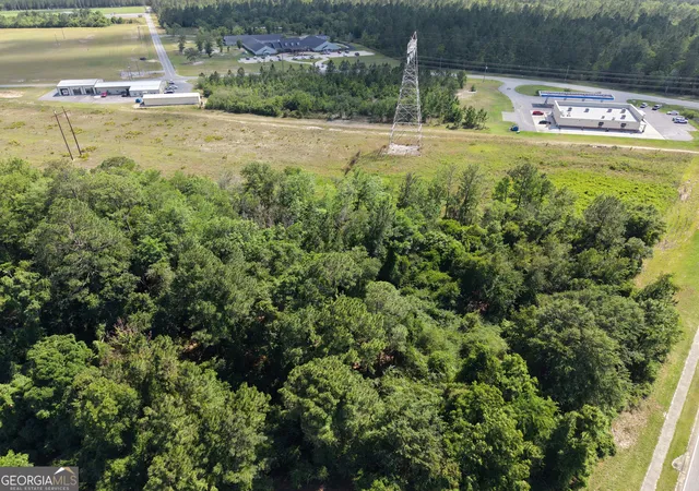 Photo 3 of Land for sale at 0 Us Hwy 84, Jesup, GA 31545 | MLS# 10772786 | Listing updated on 2026-10-03