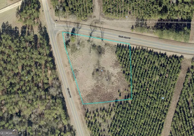 Homes for sale in Wrightsville, GA | N/a Bill Oliver Rd, Wrightsville, GA 31096 | MLS# 10778430