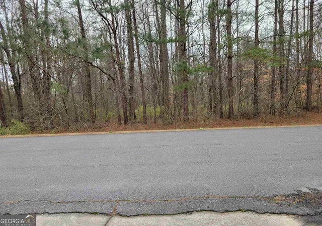 Photo 3 of Land for sale at 0 Lakeridge Dr, Temple, GA 30179 | MLS# 10762260 | Listing updated on 2026-07-10