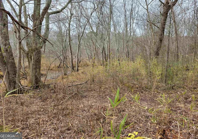 Photo 3 of Land for sale at 0 Lakeridge Dr, Temple, GA 30179 | MLS# 10762260 | Listing updated on 2026-07-10