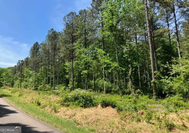1st image of 325 Rock Fence Rd Nw, Adairsville, GA 30103 | MLS# 10738166