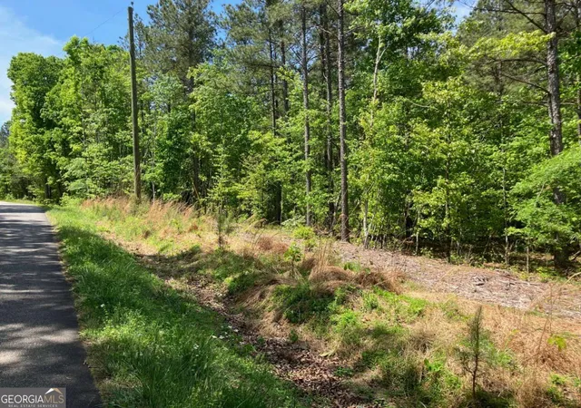 3rd image of 325 Rock Fence Rd Nw, Adairsville, GA 30103 | MLS# 10738166