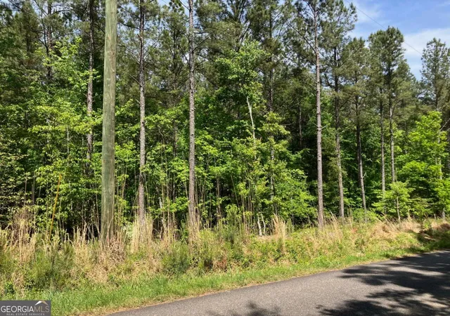 4th image of 325 Rock Fence Rd Nw, Adairsville, GA 30103 | MLS# 10738166