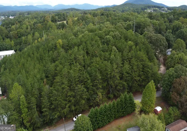 8th image of 0 Bryant St, Cleveland, GA 30528 | MLS# 10827708