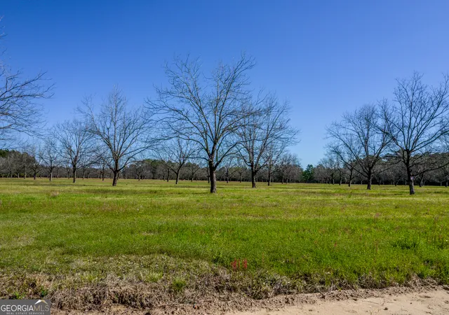 Photo 4 of Sale Pending at 0 Kermit Rd, Cobbtown, GA 30420 | MLS# 10807892 | Listing updated on 2026-08-28