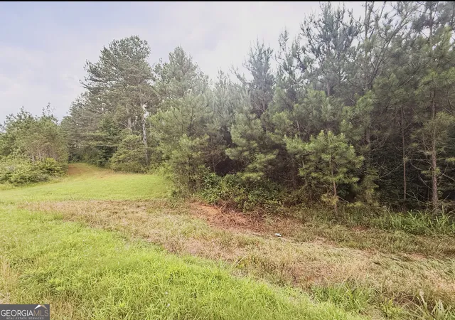 2nd image of 0 County Road 40, Fruithurst, AL 36262 | MLS# 10814453