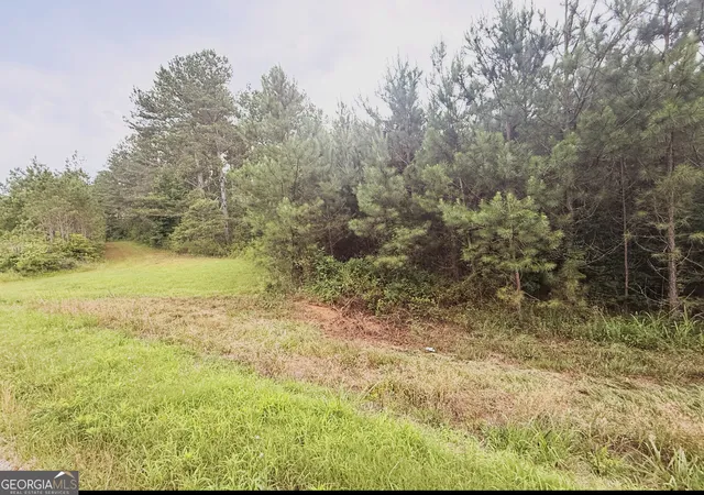 3rd image of 0 County Road 40, Fruithurst, AL 36262 | MLS# 10814453