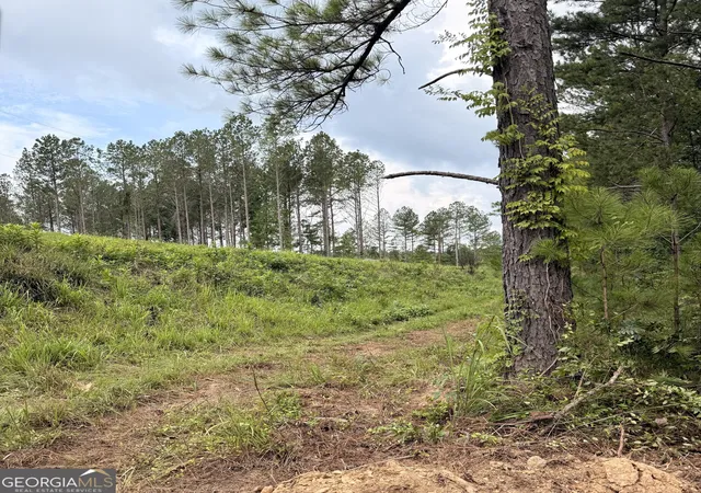 4th image of 0 County Road 40, Fruithurst, AL 36262 | MLS# 10814453
