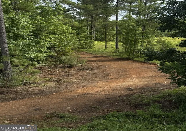 5th image of 0 County Road 40, Fruithurst, AL 36262 | MLS# 10814453