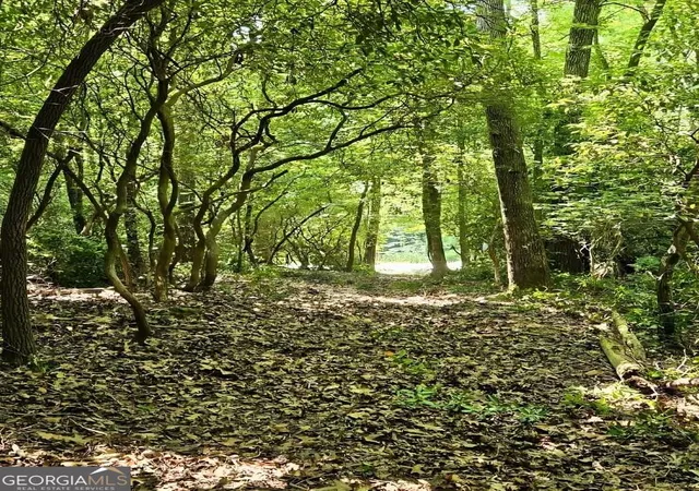 Photo 1 of Land for sale at 5 Goldmine Rd, Morganton, GA 30560 | MLS# 10832437 | Listing updated on 2026-09-08