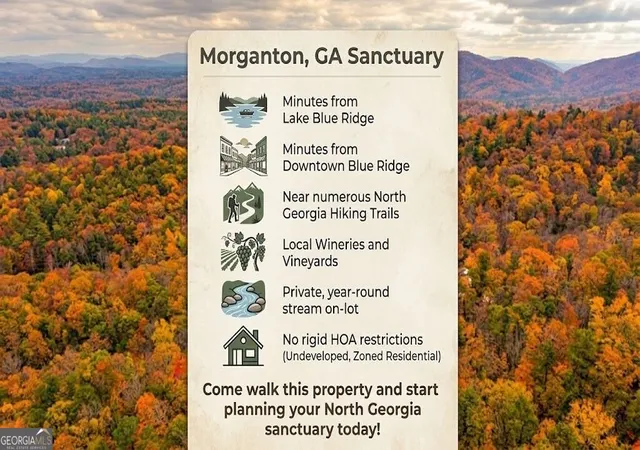 Photo 3 of Land for sale at 5 Goldmine Rd, Morganton, GA 30560 | MLS# 10832437 | Listing updated on 2026-09-08