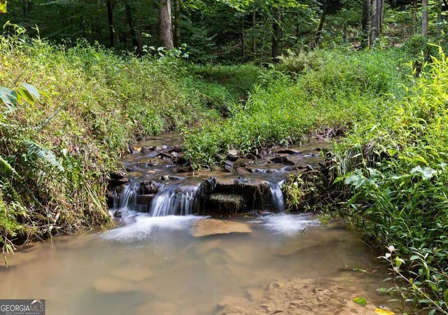 2nd image of 434 Lemmon Dr, Ellijay, GA 30540 | MLS# 10827406