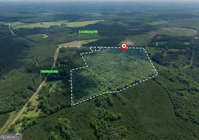 20th image of 3328 Lundberg Rd, Washington, GA 30673 | MLS# 10794215