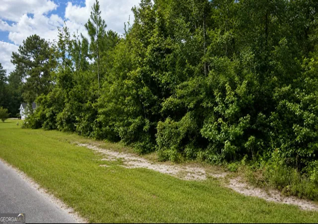 Photo 2 of Land for sale at 13 Ace Cir, Brunswick, GA 31523 | MLS# 10813301 | Listing updated on 2026-08-27