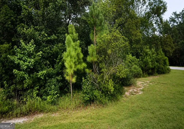 Photo 3 of Land for sale at 13 Ace Cir, Brunswick, GA 31523 | MLS# 10813301 | Listing updated on 2026-08-27