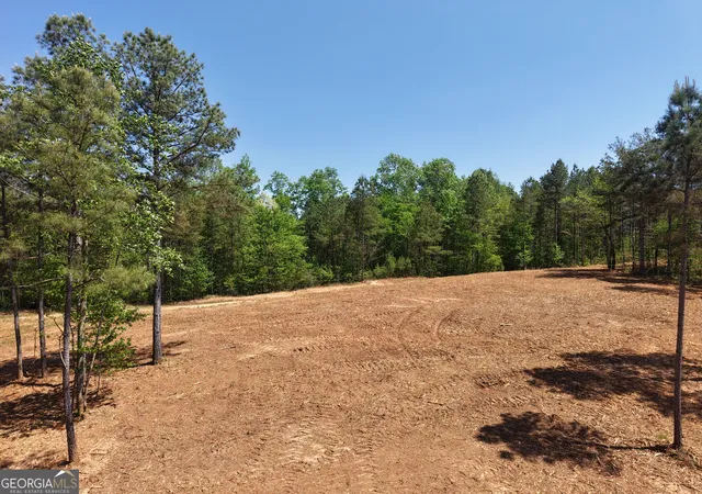 Homes for sale in Fairmount, GA | 0 Ryo Mountain Rd #9609, Fairmount, GA 30139 | MLS# 20087371