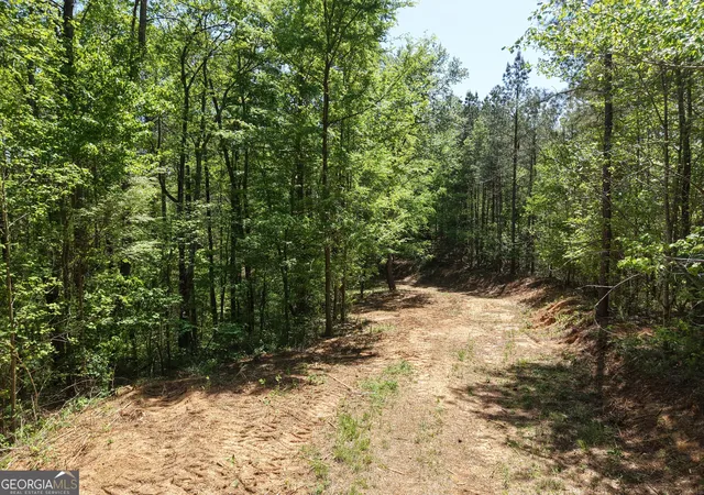 Homes for sale in Fairmount, GA | 0 Ryo Mountain Rd #9609, Fairmount, GA 30139 | MLS# 20087371